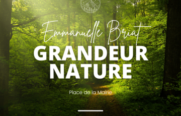 Exposition "Grandeur Nature", installation végétale... Du 17 mai au 1 sept 2024