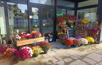 L'arrosoir - Locquirec