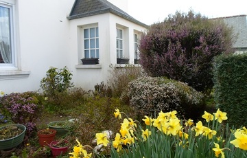 Mme Hélène STEPHAN