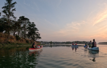 Wild Wáta