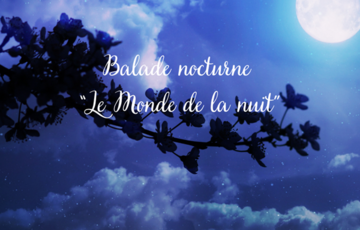 Balade nocturne "Le Monde de la Nuit" Le 31 oct 2024